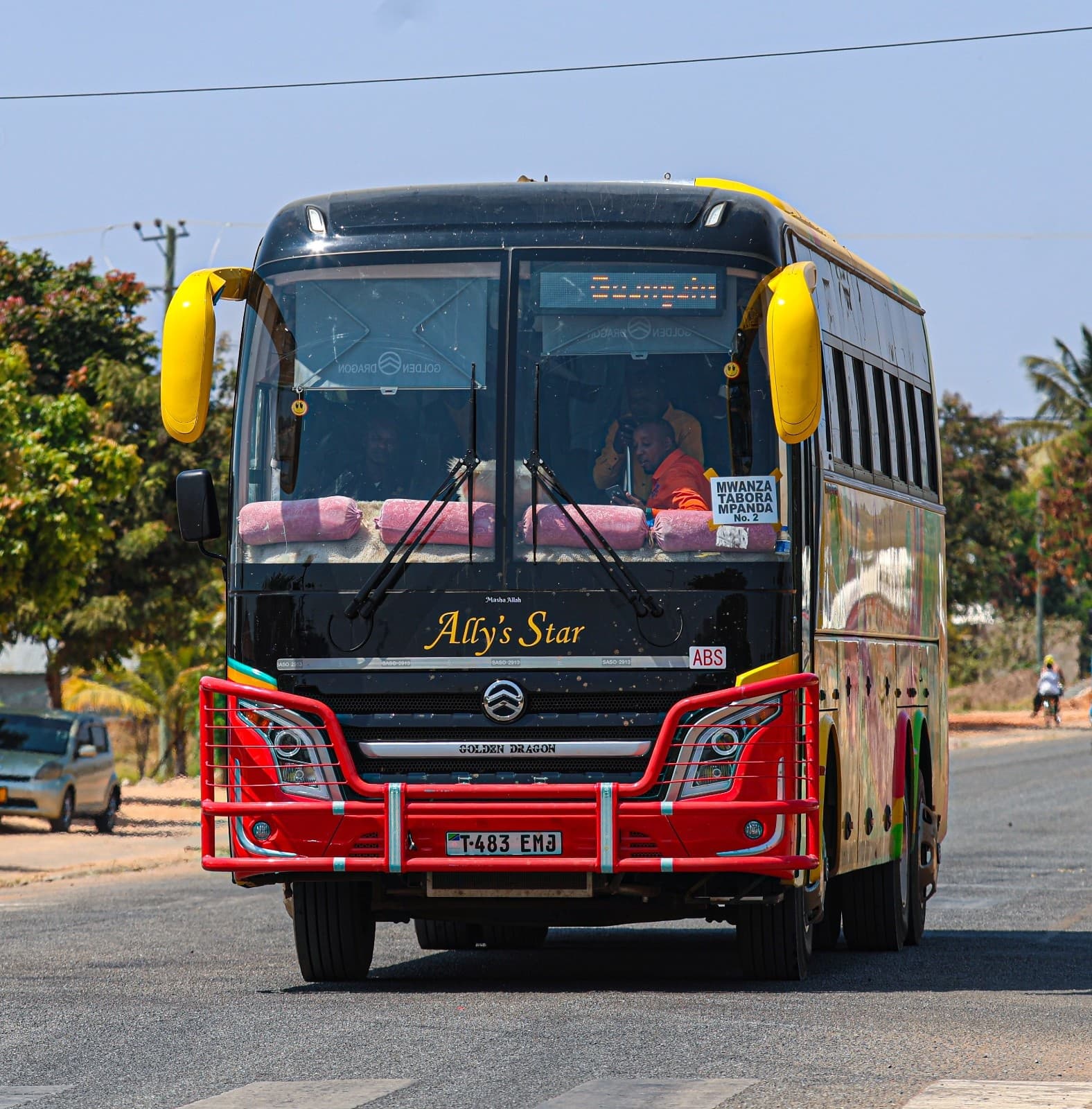 Ally's Star Bus External View 12