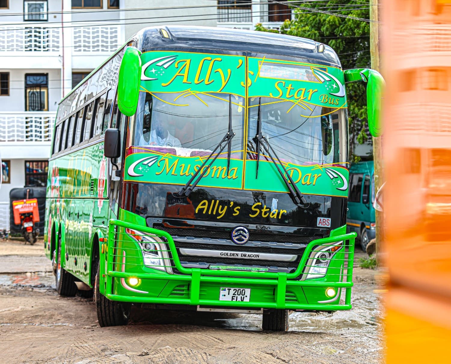Ally's Star Bus External View 4
