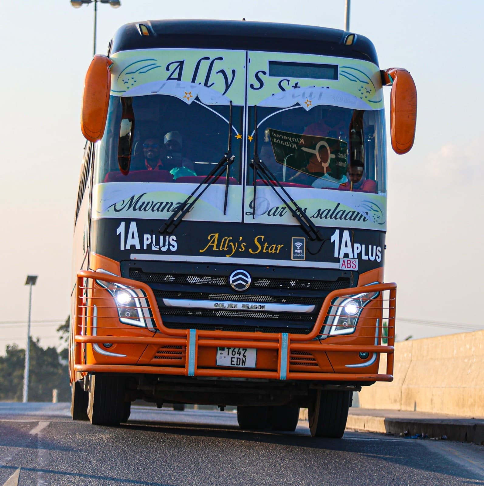 Ally's Star Bus External View 8